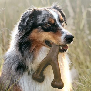 <span class=keywords><strong>Jouet</strong></span> à mâcher durable pour chien, résistant aux morsures, modèle AC002, pour usage intensif et à usage croisé (type miroir) - Product Image 3