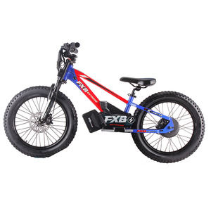 2025 FXB Vélo d'équilibre pour enfants Dirt Bike électrique équilibré de <span class=keywords><strong>20</strong></span> <span class=keywords><strong>pouces</strong></span> - Product Image 2