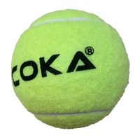 Pelotas de Tenis de Entrenamiento Profesional, Fieltro de Lana, Alto Rebote, Pelotas de Práctica Duraderas para Partidos en Cancha