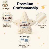 Peluche Mascotte Étoile Personnalisée Thème Estival Coussinnette Charme Vente en Gros Cadeau Promotionnel Prix Usine