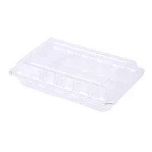 Recipiente de plástico transparente descartável, recipiente para tirar sushi, caixa de embalar vegetais e frutas