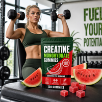 Gummies de créatine monohydrate OEM 5000mg – Complément pré-entraînement saveur pastèque pour la gym