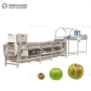 Meyve ve sebze ayırma makinesi erik şeftali patates muayene konveyörü sıralama makinesi hattı