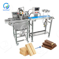 OCEAN Henan Bakery Chocolate Enrober Convoyeur à bande Biscuit Enrobe Machine avec réservoir d'humeur