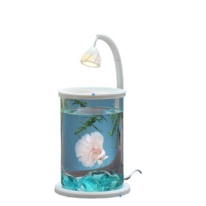 Giardino delle vacanze acquario decorativo solare, piccolo ed elegante <span class=keywords><strong>effetto</strong></span> di luce notturna da scrivania cilindrica - Product Image 3