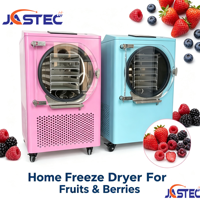 Machine de lyophilisation compacte pour aliments, déshydrateur pour fruits et légumes, oignons, champignons, pois