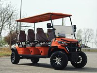 Carrito de Golf Eléctrico de 2 Plazas Personalizable de Alta Calidad, Homologado para Circular por la Calle, con Motor de Alta Potencia de 48V, Certificado CE Dot Eec