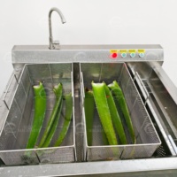 Multifunctionele ozon fruit- en groentewasmachine met roestvrijstalen pomp voor maïs, sla, kool, paprika en aloë vera