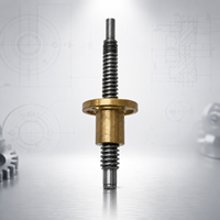 Conjunto de Tornillo de Bola Lineal CNC de Alta Precisión, Trapezoidal, de Acero Inoxidable Personalizado para Equipos de Automatización