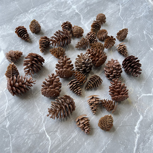 Piñas Secas Naturales con Purpurina <span class=keywords><strong>para</strong></span> Decoración Navideña, San Valentín y Año Nuevo, Venta al por Mayor T3 - Product Image 1