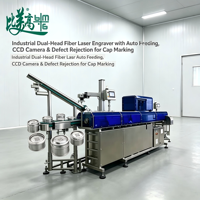 Marqueur laser à fibre double tête à alimentation automatique pour capuchons en aluminium, avec inspection CCD et système de rejet automatique pour machines à codes QR