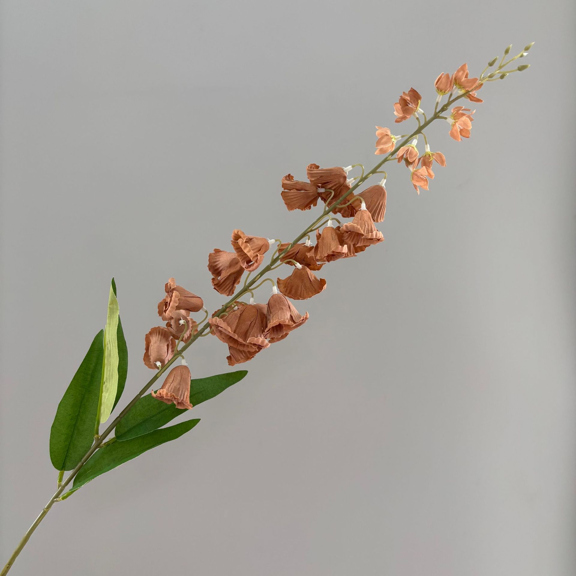 muguet