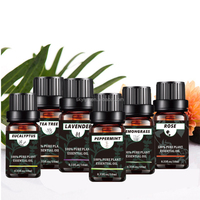 6 * 10ml Set Minyak Wangi Essentials Blends untuk Isi Ulang Diffuser Rumah, Lilin, Pembuatan Slime, Sabun, Pewangi Mobil, Pewangi Cucian, Minyak DIY