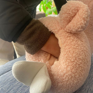 Oem & Odm Super Zacht Eco Gevulde Alpaca 2 In 1 Kussendeken Op Maat Knuffels Met Deken - Product Image 3