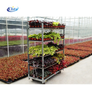 Thermisch Verzinkt Gaas Deens <span class=keywords><strong>Trolley</strong></span> Voor Tuincentrum Bloempot Transport - Product Image 6