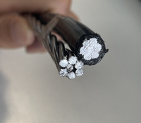 Kabel dupleks penjualan populer pasar nikamarua 2x6 AWG konduktor aluminium XLPE layanan dupleks terisolasi kabel Drop #6 daftar harga AWG