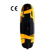 Planche de surf électrique de Sports aquatiques, skateboard personnalisé, de haute qualité, alimenté par Fiber de carbone