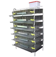 Cage à oiseaux automatique de haute qualité, type H, en acier, pour 300 cailles, avec une longue durée de vie