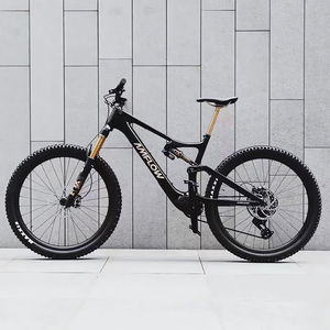 Bicicleta Eléctrica de Montaña Dji Amflow, Bicicleta Eléctrica Dji Amflow, Bicicleta de Montaña con Suspensión Completa, <span class=keywords><strong>Cuadro</strong></span> de <span class=keywords><strong>Carbono</strong></span>, Bicicleta <span class=keywords><strong>Mtb</strong></span>, Ebike - Product Image 3