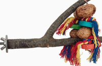 Perchoir en Y naturel 2-en-1 pour oiseaux, jouet de forrage en branche de bois avec maïs et noix véritables pour perruches, calopsittes et conures à mâcher