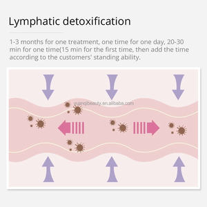 2025 Gesäß Schönheit Frauen Brust saugen Große Brüste Nippel Stretching Vakuumpumpe Maschine Massage gerät Brust vergrößerung - Product Image 6