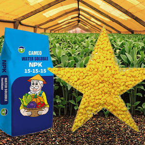 <span class=keywords><strong>Engrais</strong></span> NPK haute efficacité agricole soluble dans l'eau sacs de 20kg - Product Image 2