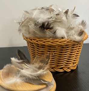 Plumes de canard grises ultra-pratiques de 2 à 4 cm, vente en gros d'usine <span class=keywords><strong>Linda</strong></span> Down - Product Image 3