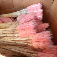 Bunga Asli Eropa Bunny Tail Flower Bouquet Kering Alami untuk Pesta, Harga dan Kualitas Menarik, 50-60 cm, 10 Tangkai