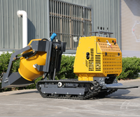Fabrikverkauf Geländegängiger Mini-Betonkipper mit Raupenantrieb Kleiner Gummiketten-Transporter Mini-Raupenkipper mit CE-Zertifizierung