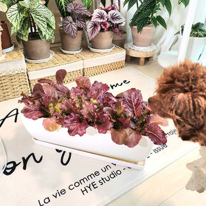 Jardinière rectangulaire en plastique durable et légère avec plateau de drainage pour usage intérieur/extérieur, balcon, jardin, patio, plantation d'herbes aromatiques à la maison - Product Image 4