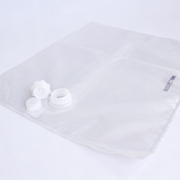 Sac en plastique transparent robuste en gros avec options de valves multiples pour le stockage commercial de vin, de jus et de liquides industriels