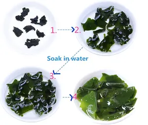High Quality extract frozen snack salad sargassum Seaweed for ready to eat