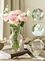 Vente en gros Vase classique en verre transparent Grand vase à fleurs transparent pour la décoration intérieure Salon Salle à manger Centre de table