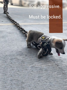 Correa para Perro de Plástico Resistente y Grueso con Cadena de Hierro Grande, Divertida para Bromas, Suministros para Mascotas - Product Image 2