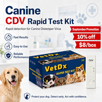 Kit de test rapide et précis pour le virus de la maladie de Carré chez le chien (CDV) – Dispositif vétérinaire pour cliniques – Vente en gros