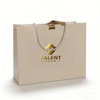 Sac en papier kraft personnalisé pour le commerce de détail, sac de shopping pour vêtements, sac cadeau de luxe avec poignée, mini emballage imprimé avec logo de marque