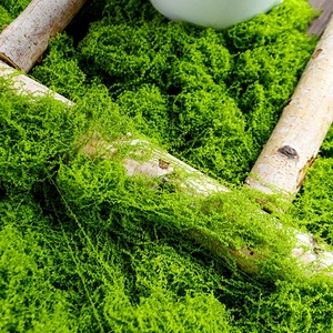 LUYI - Musgo Verde <span class=keywords><strong>Artificial</strong></span> en Maceta, Musgo Sphagnum, Turba de Musgo, Decoración de Pared para Oficina, Venta al por Mayor - Product Image 2
