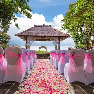 Rubans de chaise en organza polyester, nœuds, nœuds décoratifs, couvre-chaises, rubans réutilisables et lavables pour mariage, fête, banquet, événement - Product Image 5