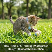 Traceur intelligent pour animaux de compagnie, étanche, Bluetooth, localisateur pour chat et chien, collier anti-perte portable avec suivi de position en temps réel