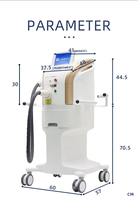Appareil de beauté M22 Photon DPL pour le rajeunissement de la peau, lait noir doré, éclaircissant, blanchissant, usage spécial pour salon de beauté