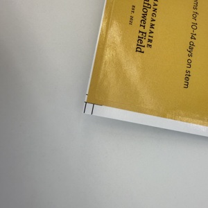 Nuevo producto, gran oferta, pegatinas de alta calidad 4x6 impresas - Product Image 5