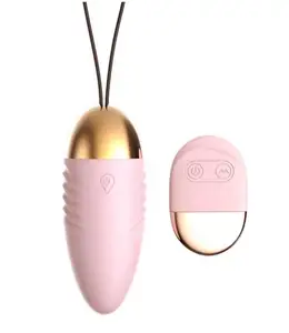 Telecomando senza fili del fornitore dispositivo di masturbazione femminile delle uova di salto indossabili invisibili di vibrazione di 10 frequenze