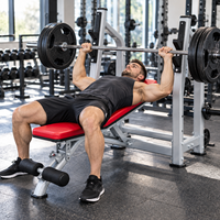 Rak Bench Press Besi Multifungsi Profesional Lipat untuk Barbell, Peralatan Fitness Gym, Penggunaan Rumah & Komersial