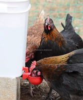 Abreuvoir Automatique Rouge YTU DIY pour Poulets, Gobelets d'Eau en Plastique pour Volaille pour Seau