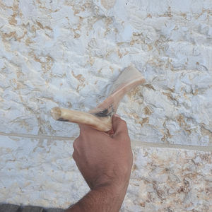 Corne de Choréphore en Mouton Naturel Poli - Décoration Religieuse Écologique de Haute Qualité pour la Maison - Product Image 1