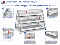 Nouvelle cage à poules pondeuses de type A à 3 niveaux, capacité de 160 oiseaux, cage à volailles galvanisée HAOKAI METAL pour le Nigéria