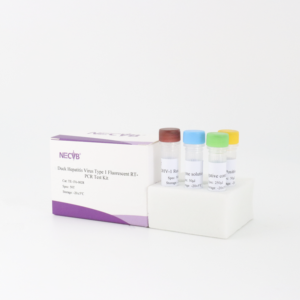 DHV-1 형광 RT-PCR 검출 키트 | 오리 간염 바이러스 유형 1 | 프로브 기반 qPCR - Product Image 6