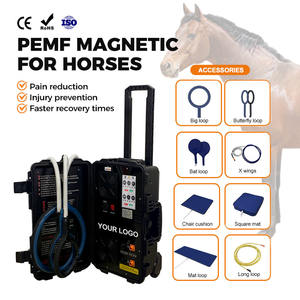 เครื่อง PEMF แบบสองช่องทางสำหรับม้า ใช้งานได้หลากหลาย ช่วยผ่อนคลายกล้ามเนื้อที่ตึงและเพิ่มความยืดหยุ่นของข้อต่อ - Product Image 1