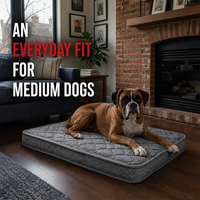 Matelas orthopédique pour chien 76x48cm gris matelassé 8cm avec housse amovible imperméable
