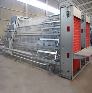 Attrezzature avicole zincate per allevamento di galline ovaiole, gabbie a batteria automatizzate ad alta produttività per allevamenti di uova. - Product Image 2